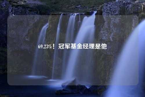 69.23%！冠军基金经理是他