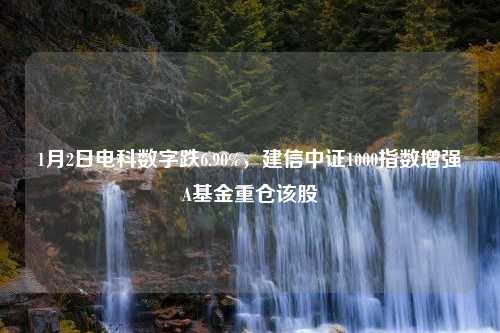 1月2日电科数字跌6.90%，建信中证1000指数增强A基金重仓该股