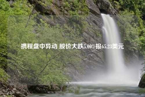 携程盘中异动 股价大跌5.00%报65.23美元