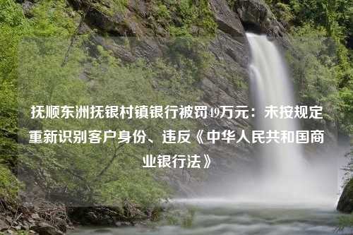 抚顺东洲抚银村镇银行被罚49万元：未按规定重新识别客户身份、违反《中华人民共和国商业银行法》