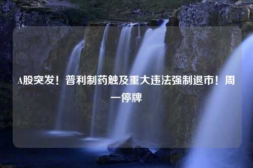 A股突发！普利制药触及重大违法强制退市！周一停牌