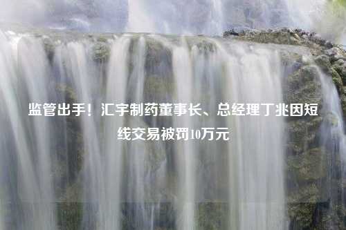 监管出手！汇宇制药董事长、总经理丁兆因短线交易被罚10万元