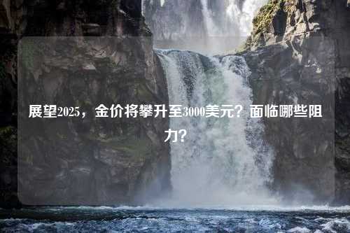 展望2025，金价将攀升至3000美元？面临哪些阻力？