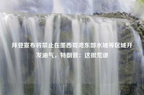 拜登宣布将禁止在墨西哥湾东部水域等区域开发油气，特朗普：这很荒谬