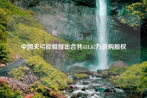 中国天弓控股授出合共431.67万份购股权