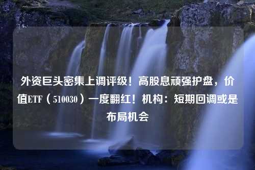 外资巨头密集上调评级！高股息顽强护盘，价值ETF（510030）一度翻红！机构：短期回调或是布局机会