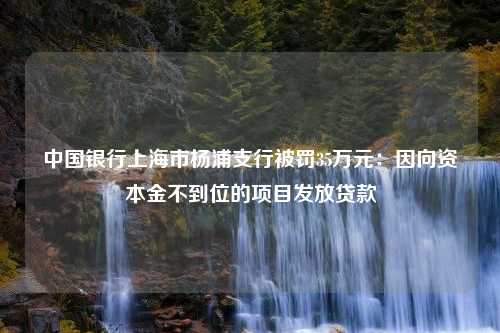 中国银行上海市杨浦支行被罚35万元：因向资本金不到位的项目发放贷款