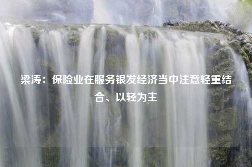 梁涛：保险业在服务银发经济当中注意轻重结合、以轻为主