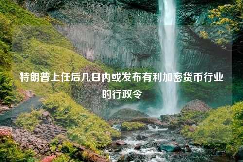 特朗普上任后几日内或发布有利加密货币行业的行政令