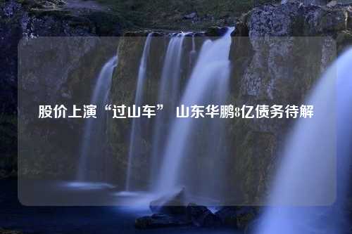 股价上演“过山车” 山东华鹏8亿债务待解