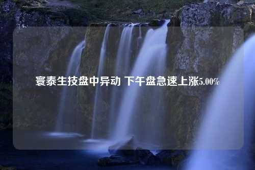 寰泰生技盘中异动 下午盘急速上涨5.00%