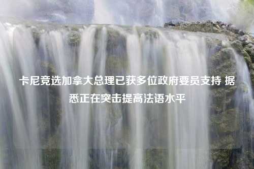 卡尼竞选加拿大总理已获多位政府要员支持 据悉正在突击提高法语水平