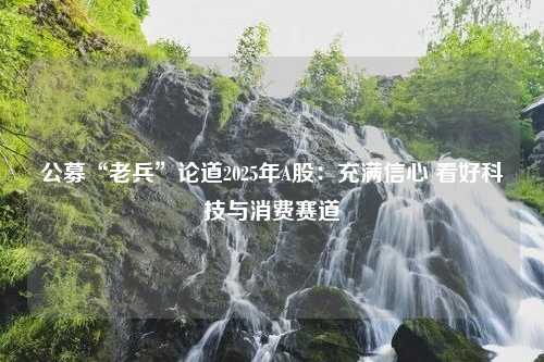 公募“老兵”论道2025年A股：充满信心 看好科技与消费赛道