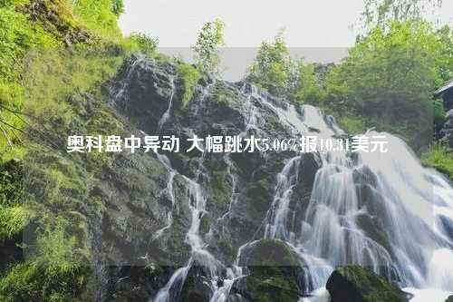 奥科盘中异动 大幅跳水5.06%报10.31美元