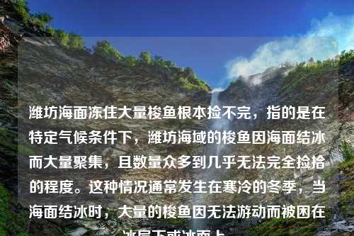 潍坊海面冻住大量梭鱼根本捡不完，指的是在特定气候条件下，潍坊海域的梭鱼因海面结冰而大量聚集，且数量众多到几乎无法完全捡拾的程度。这种情况通常发生在寒冷的冬季，当海面结冰时，大量的梭鱼因无法游动而被困在冰层下或冰面上。