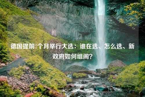 德国提前7个月举行大选：谁在选、怎么选、新政府如何组阁？