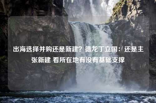 出海选择并购还是新建？德龙丁立国：还是主张新建 看所在地有没有基础支撑